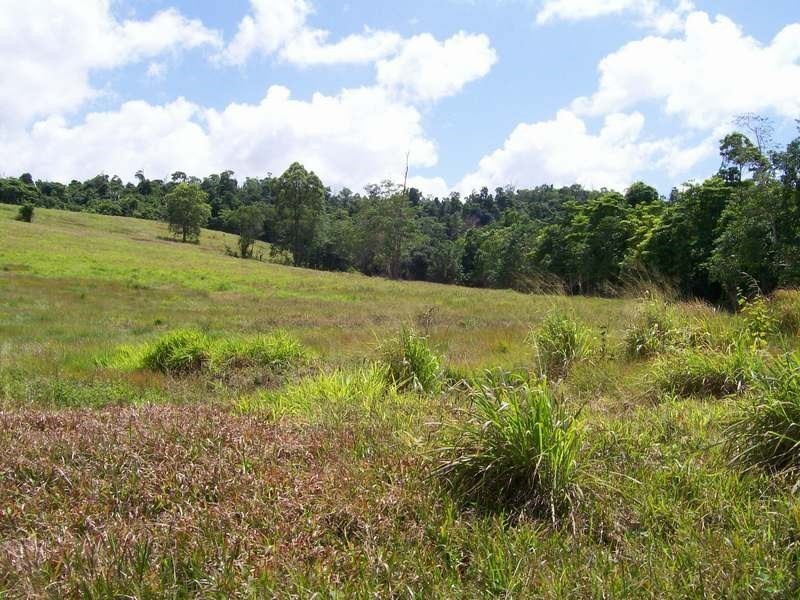 12 Dobbin Road, Warrubullen QLD 4871