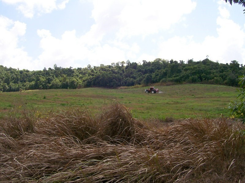 12 Dobbin Road, Warrubullen QLD 4871