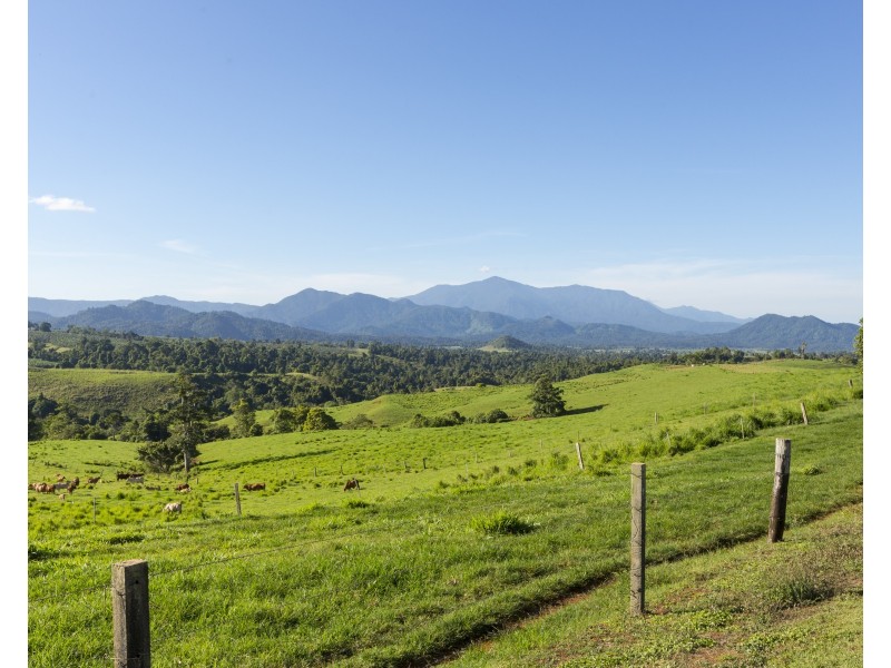 70 Dunne Road, East Palmerston QLD 4860