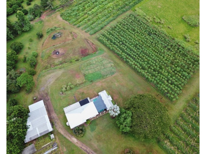 147 Daly Road, Camp Creek QLD 4871