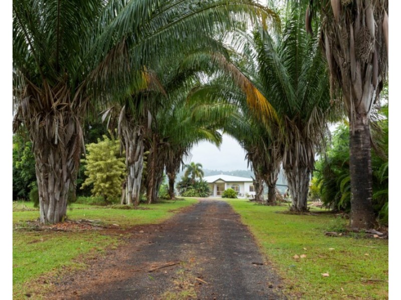 147 Daly Road, Camp Creek QLD 4871