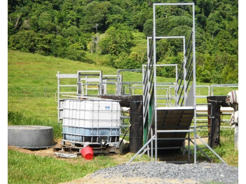 541 Mena Creek, Mena Creek QLD 4871