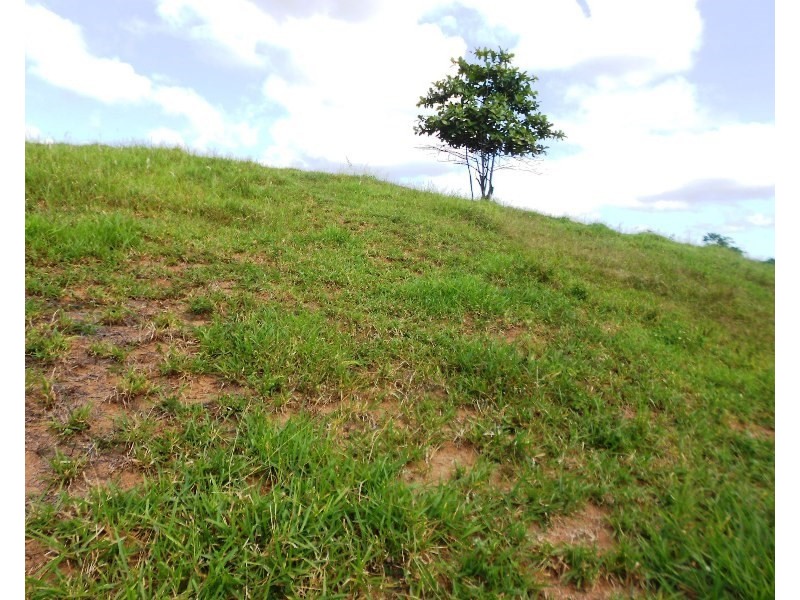 541 Mena Creek, Mena Creek QLD 4871