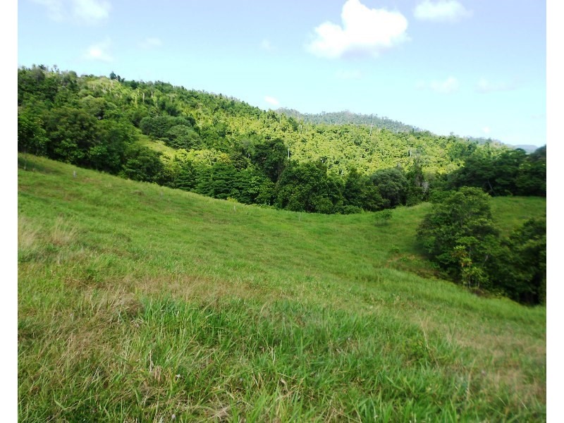 541 Mena Creek, Mena Creek QLD 4871