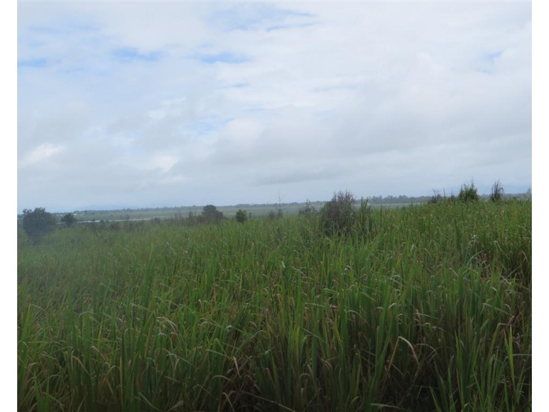 Lot 3 Silky Oak Road, Silky Oak QLD 4854