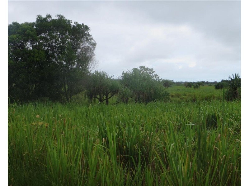 Lot 3 Silky Oak Road, Silky Oak QLD 4854