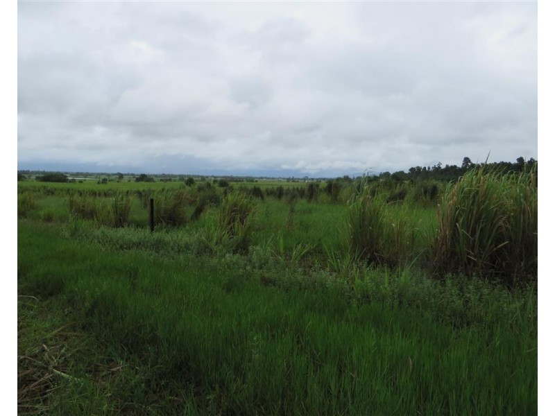 Lot 3 Silky Oak Road, Silky Oak QLD 4854