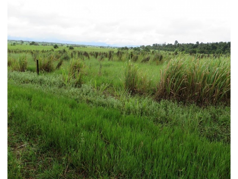 Lot 3 Silky Oak Road, Silky Oak QLD 4854