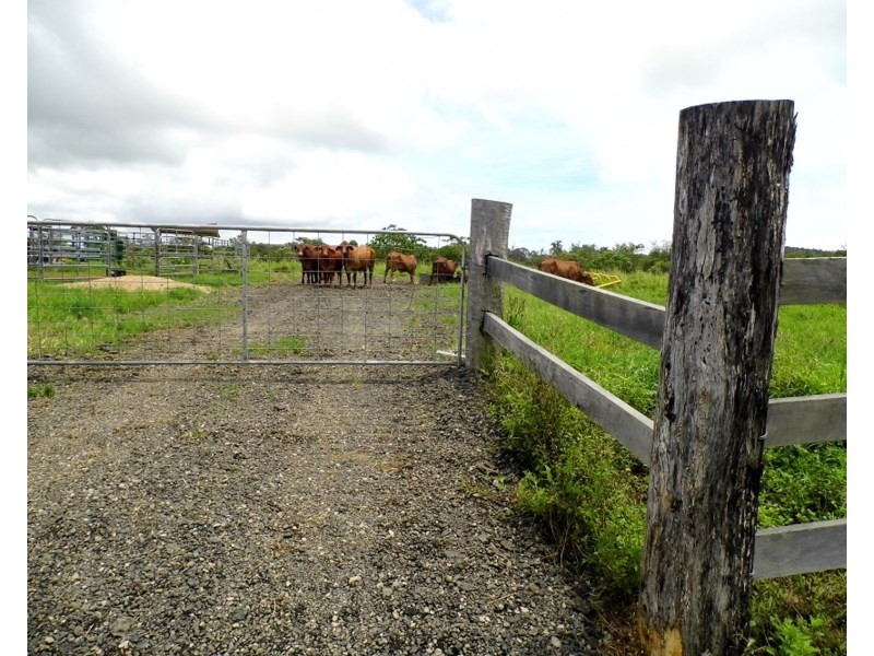 0 LOUIS, South Innisfail QLD 4860