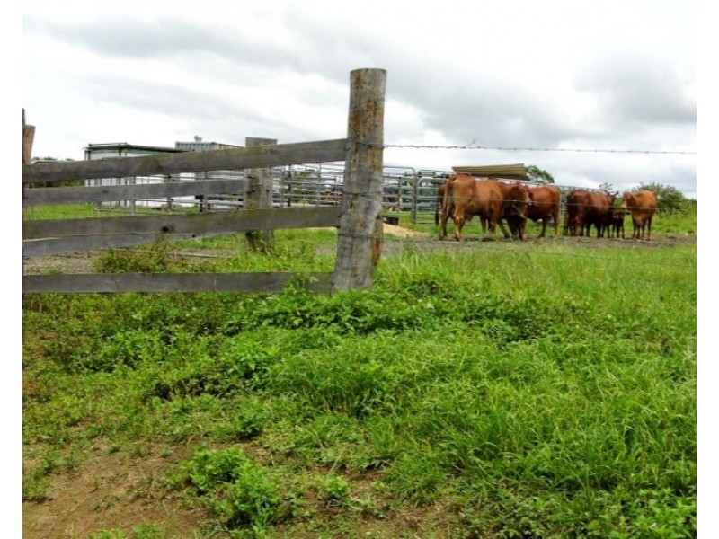 0 LOUIS, South Innisfail QLD 4860