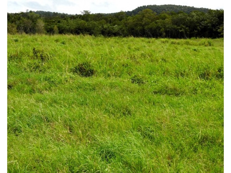 0 LOUIS, South Innisfail QLD 4860