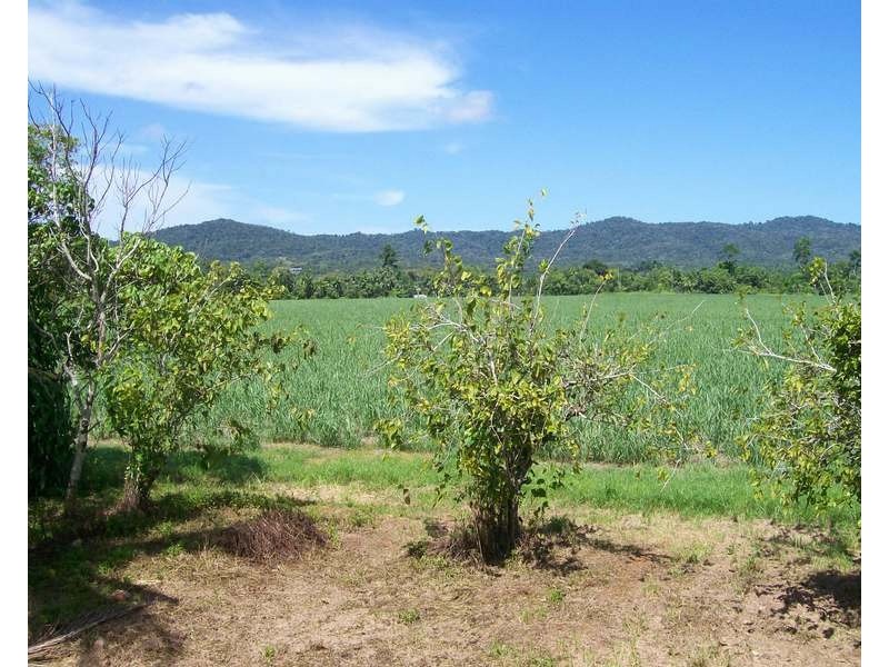 249 Jubilee Road, Daradgee QLD 4860