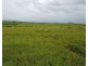 Lot 18 Kirk Road, Garradunga QLD 4860