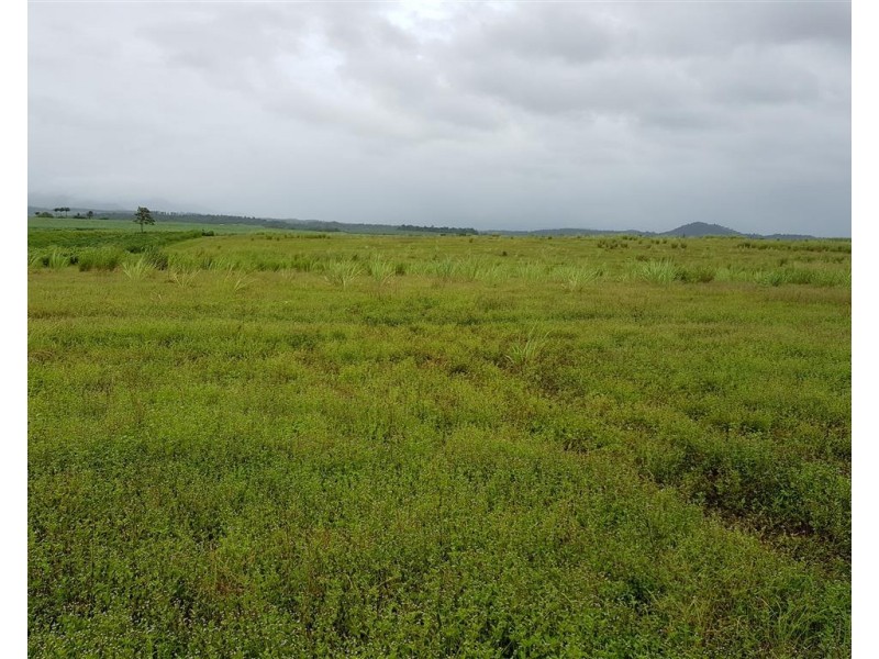 Lot 18 Kirk Road, Garradunga QLD 4860