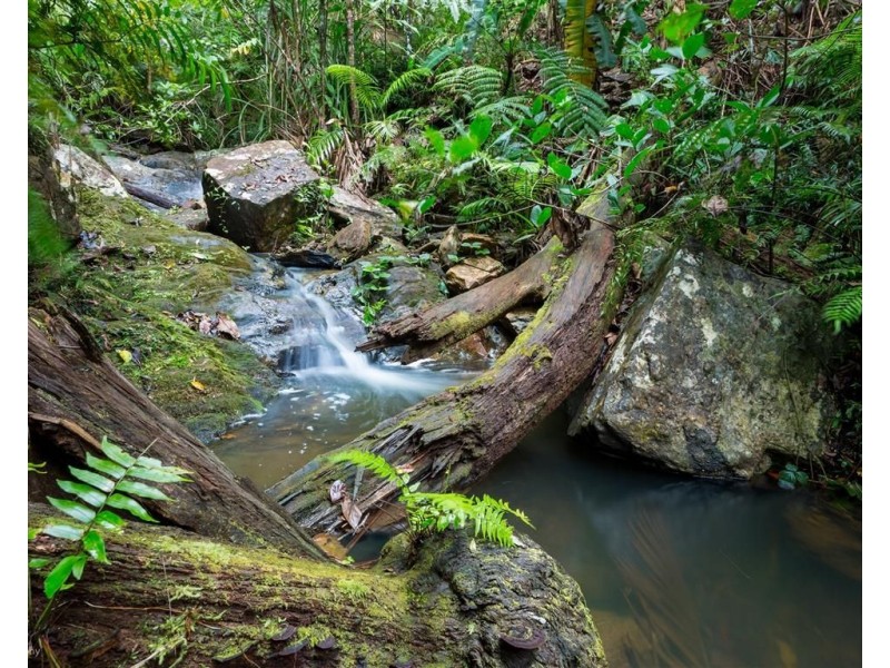 61 Waterfall Place, Jubilee Heights QLD 4860