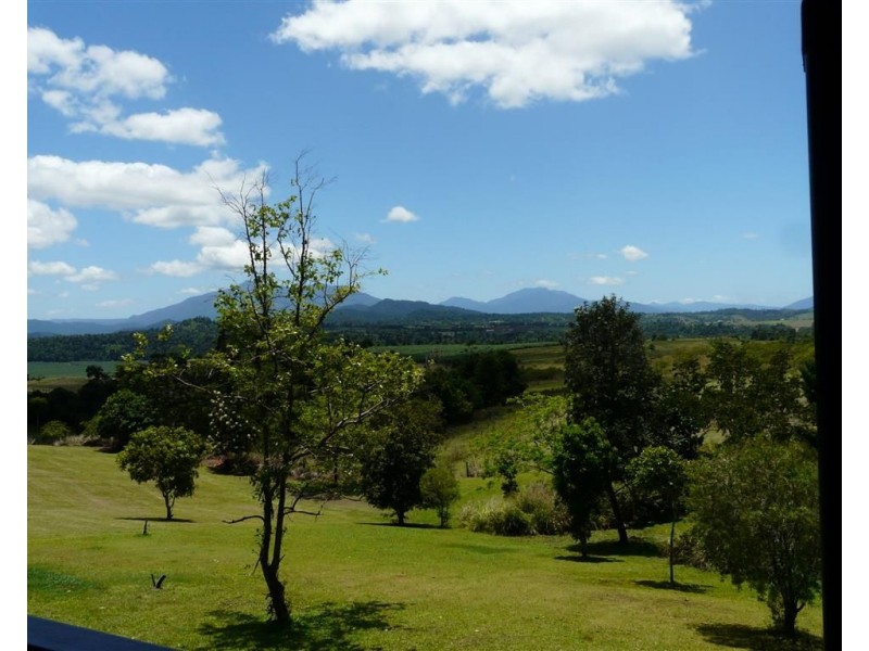 11 Marco Close, Pin Gin Hill QLD 4860