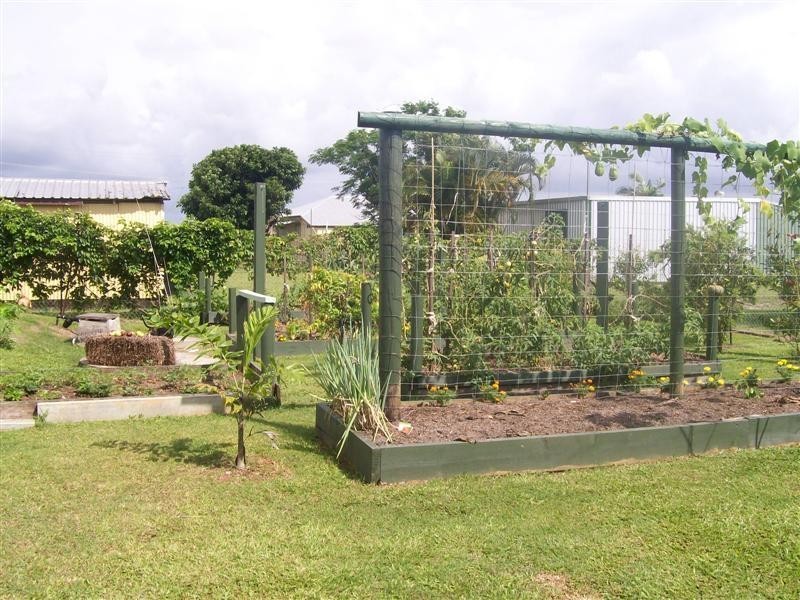 5 Peregrine St, Mourilyan, Innisfail QLD 4860