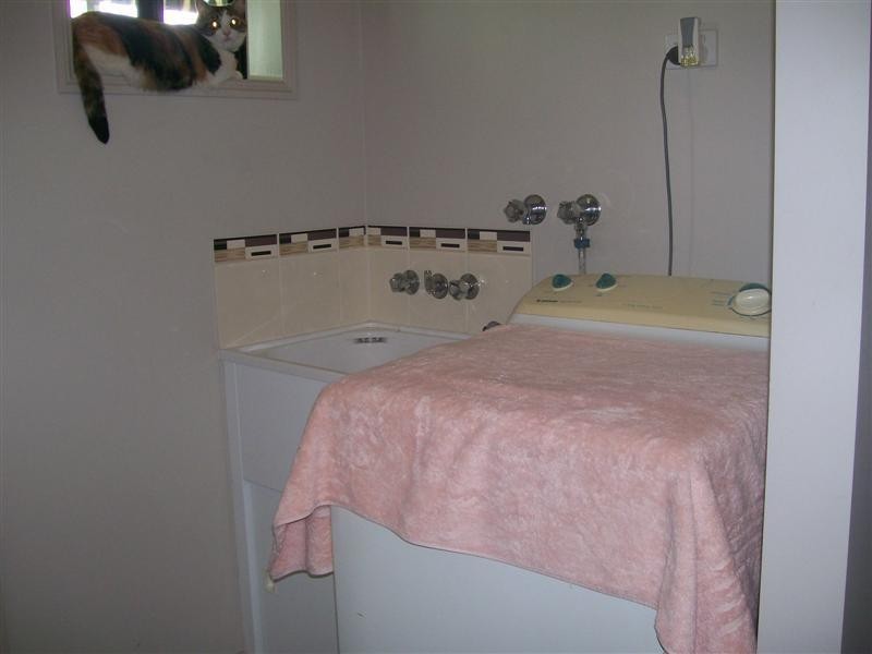 5 Peregrine St, Mourilyan, Innisfail QLD 4860