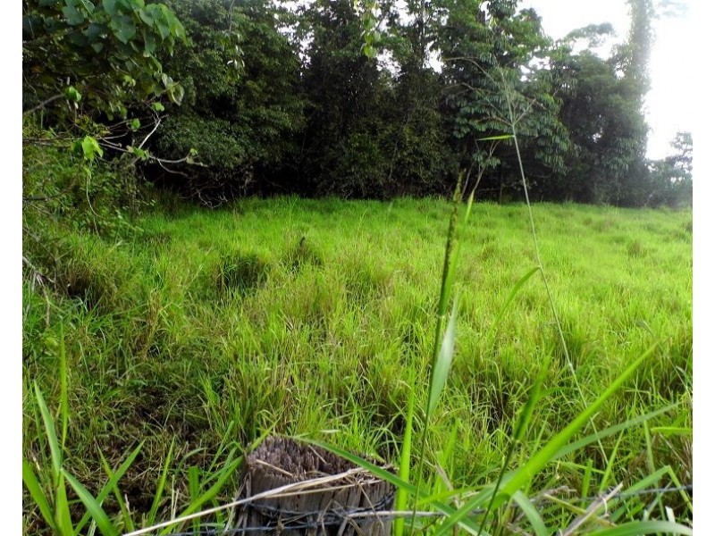 lot 2 Francis, Utchee Creek QLD 4871