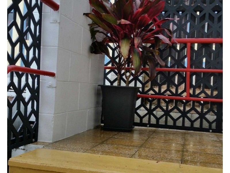 56 RANKIN, Innisfail QLD 4860