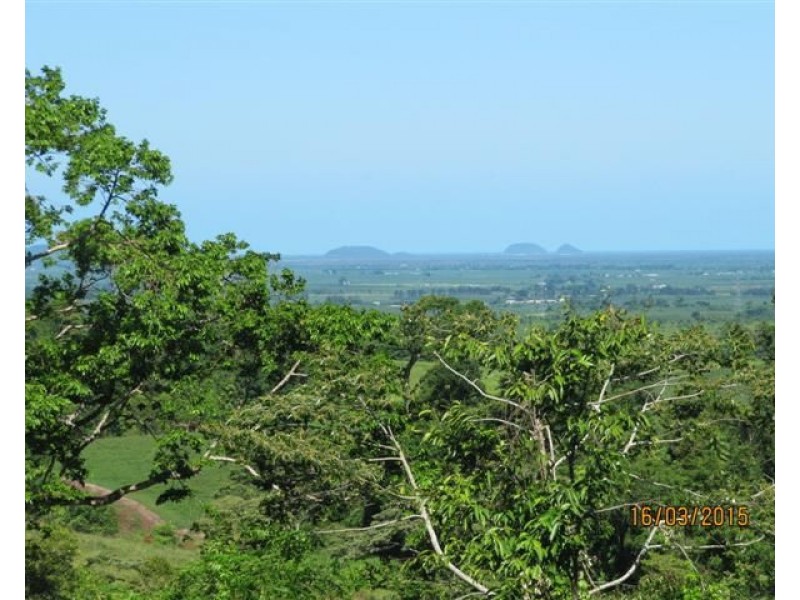 711 Palmerston Highway, Pin Gin Hill QLD 4860