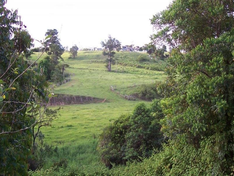 159 Ducrot Road, Innisfail QLD 4860