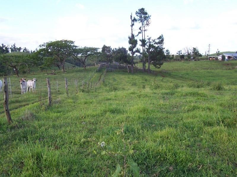 159 Ducrot Road, Innisfail QLD 4860