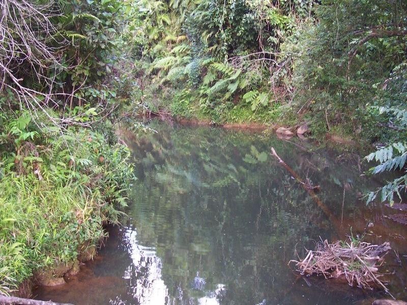 159 Ducrot Road, Innisfail QLD 4860