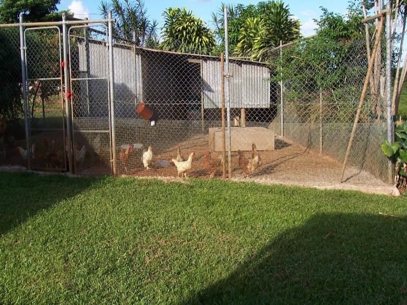 159 Ducrot, Innisfail QLD 4860