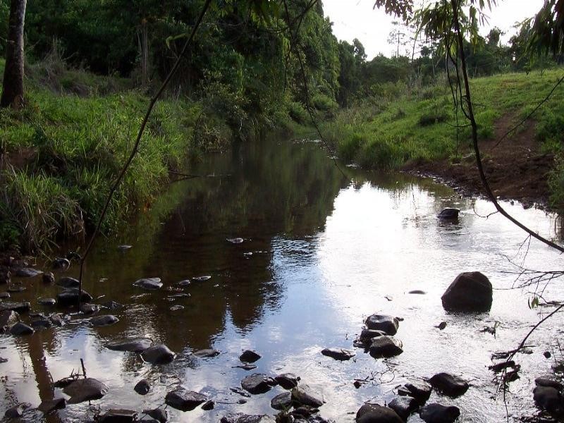 159 Ducrot, Innisfail QLD 4860