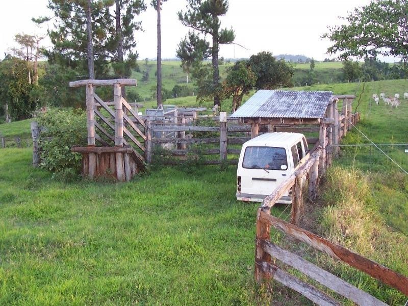 159 Ducrot, Innisfail QLD 4860