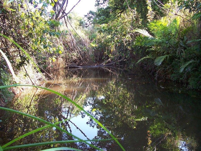 62949 Sandy Pocket Road, Innisfail QLD 4860