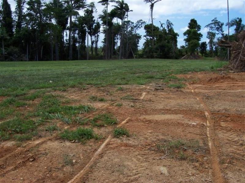 62949 Sandy Pocket Road, Innisfail QLD 4860