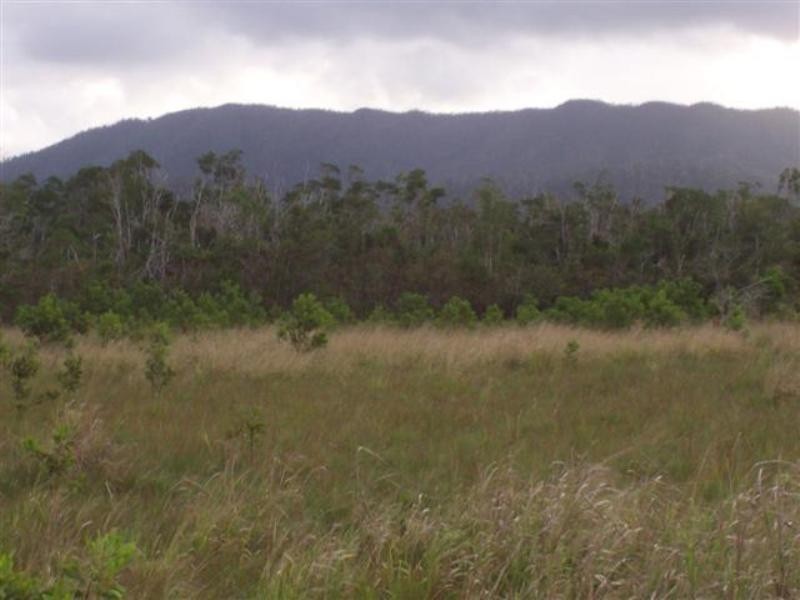 62949 Sandy Pocket Road, Innisfail QLD 4860