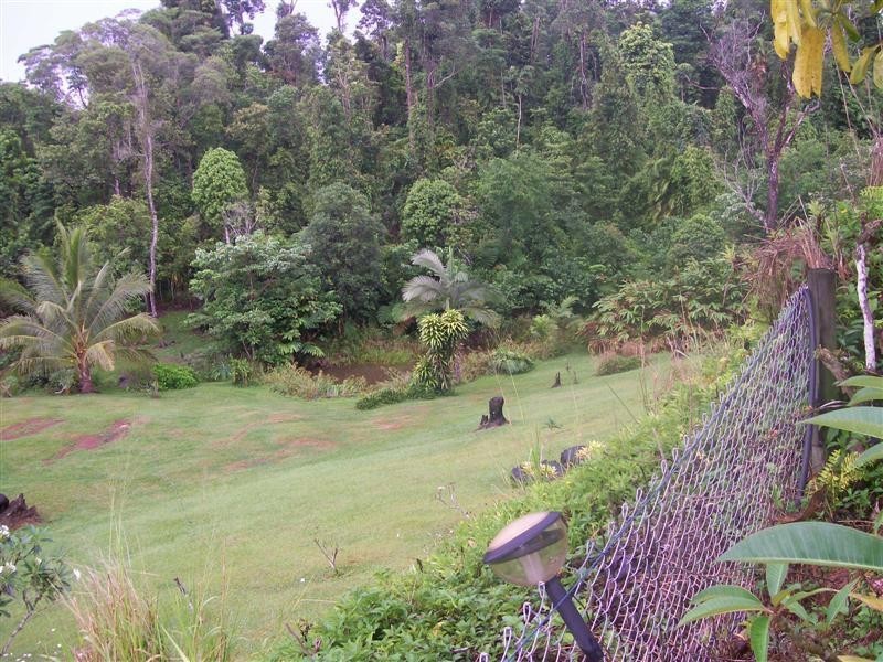 RP73 Jogo Road, Vasa Views, Innisfail QLD 4860