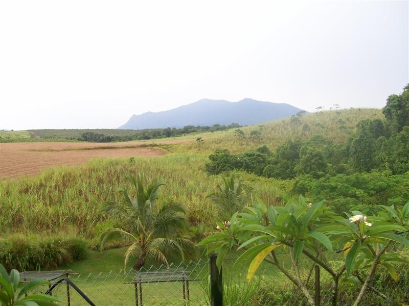 RP73 Jogo Road, Vasa Views, Innisfail QLD 4860