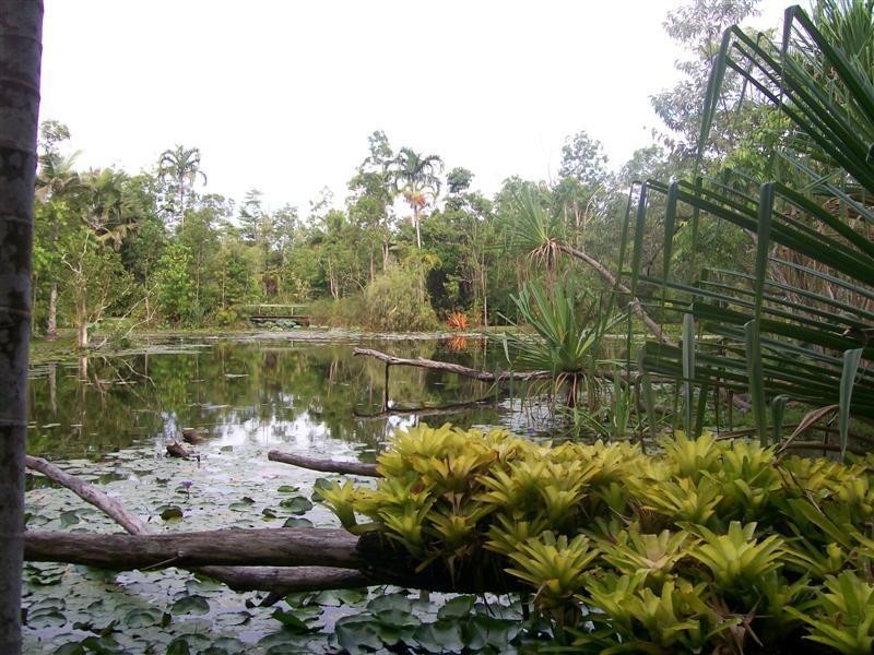 1 Ann Street, Silkwood, Innisfail QLD 4860