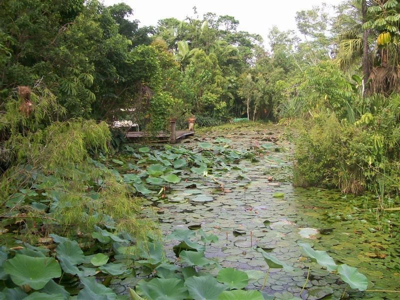 1 Ann Street, Silkwood, Innisfail QLD 4860