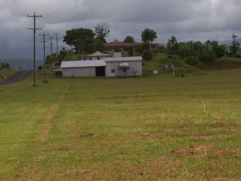 482 Walter Lever Estate, Innisfail QLD 4860