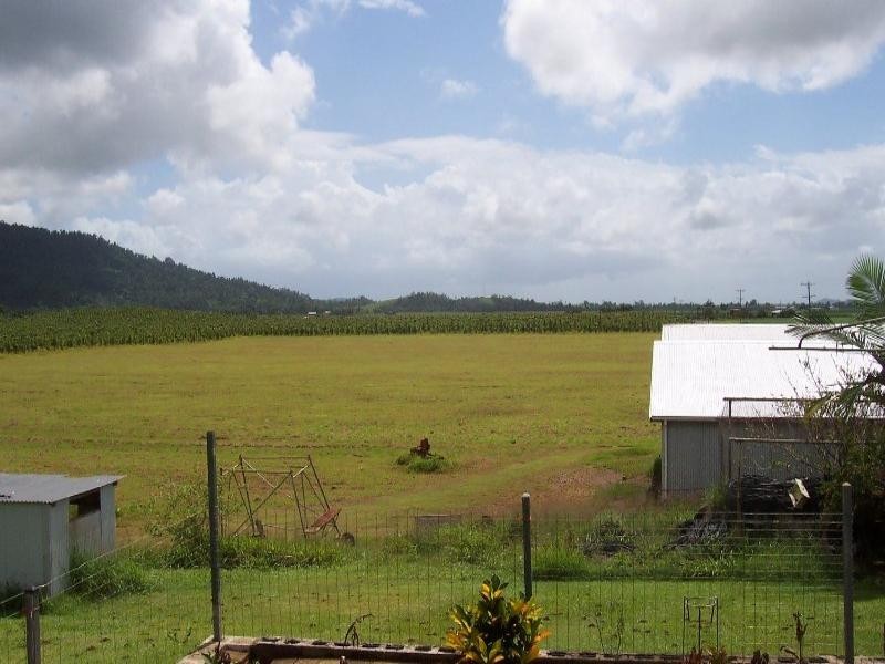 482 Walter Lever Estate, Innisfail QLD 4860