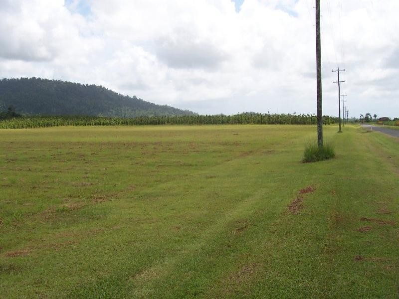 482 Walter Lever Estate, Innisfail QLD 4860