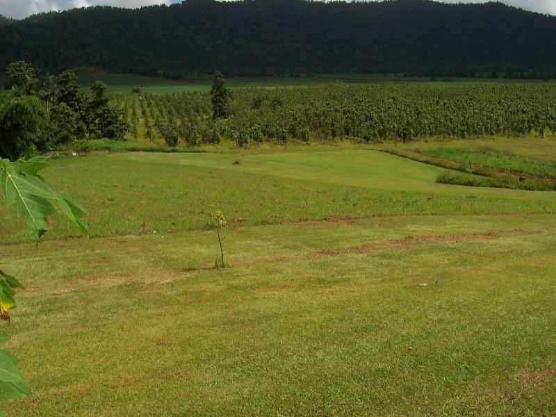 488 Walter Lever Estate Road, Innisfail QLD 4860