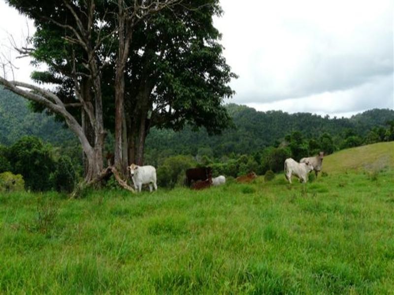 0 Knust Road, Innisfail QLD 4860