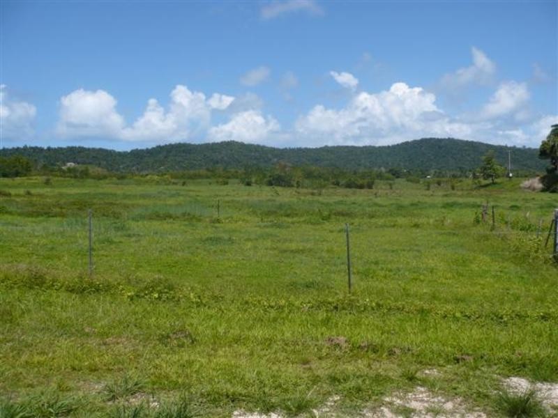 13 Payne Street, Innisfail QLD 4860