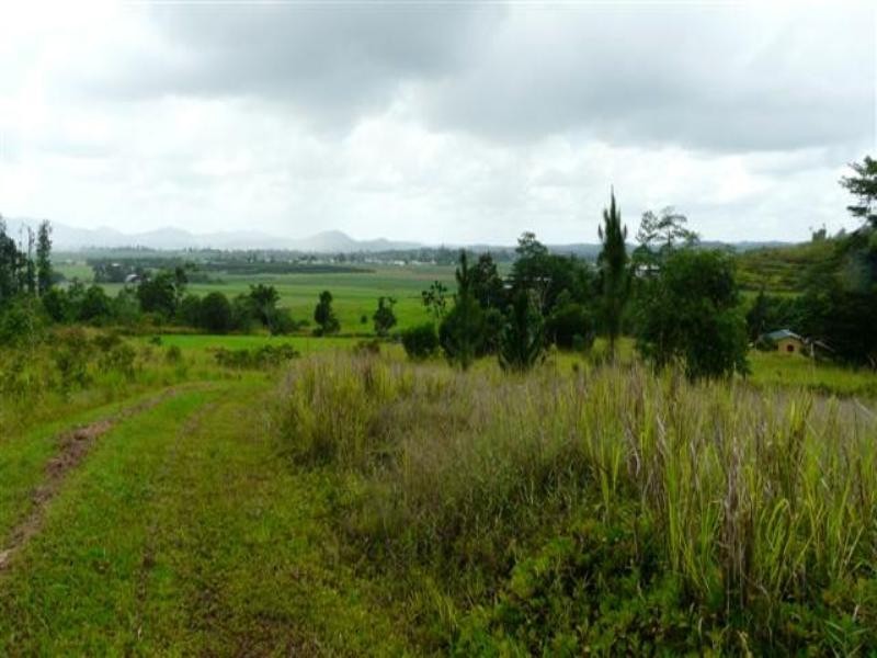 0 Healy Road, Miriwinni QLD 4871