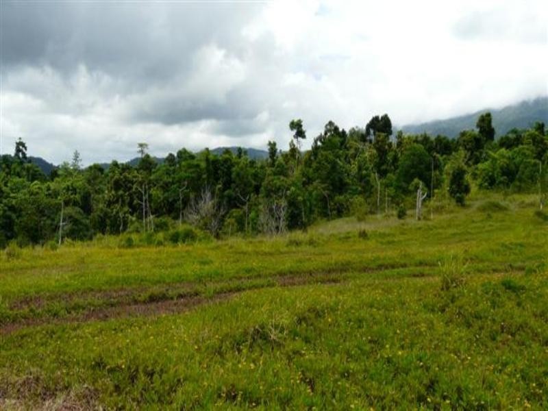 0 Healy Road, Miriwinni QLD 4871