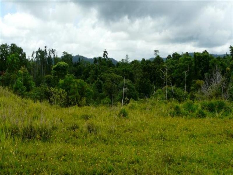 0 Healy Road, Miriwinni QLD 4871