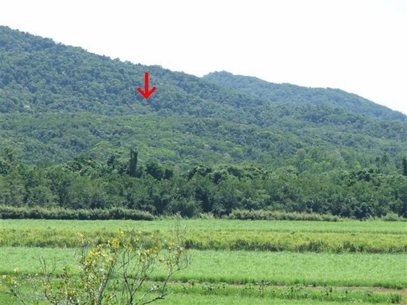 L15 Jubilee Road, Jubilee Heights, Innisfail QLD 4860