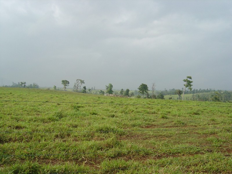 L6 Nicholson, Innisfail QLD 4860