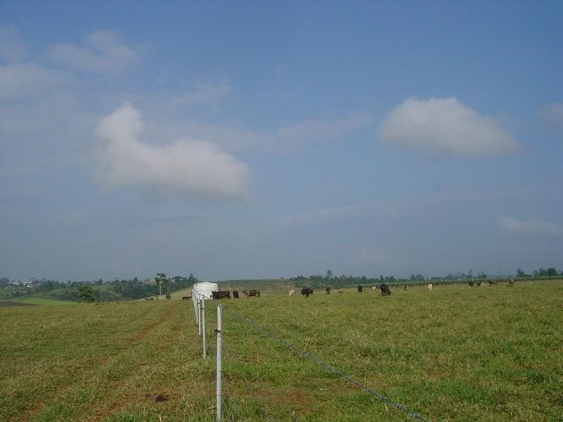 L6 Nicholson, Innisfail QLD 4860